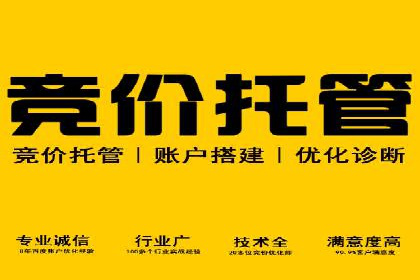 谷歌竞价广告与SEO结合的营销案例解析